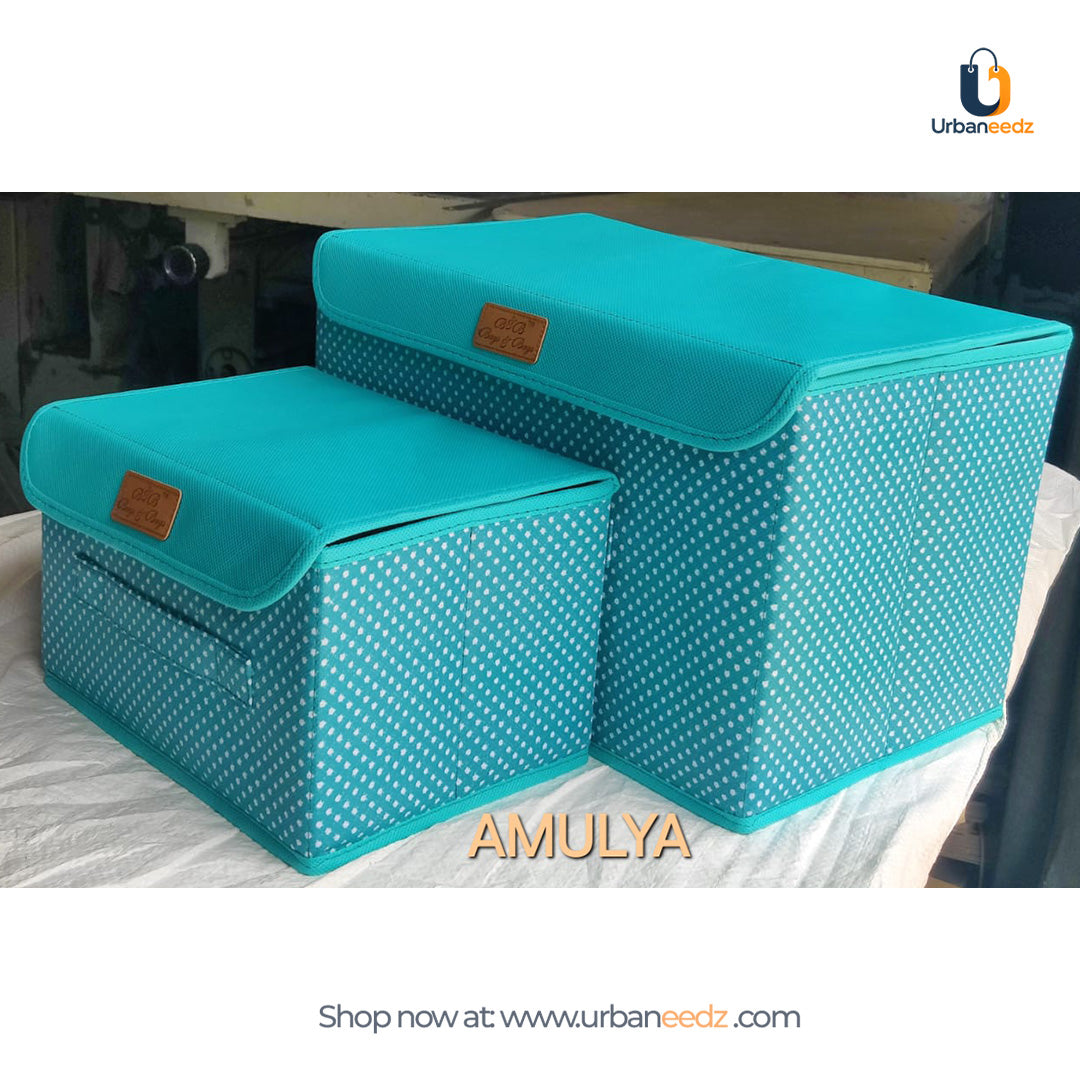 Storage Box with lid 2pcs set