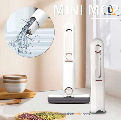 Mini mop